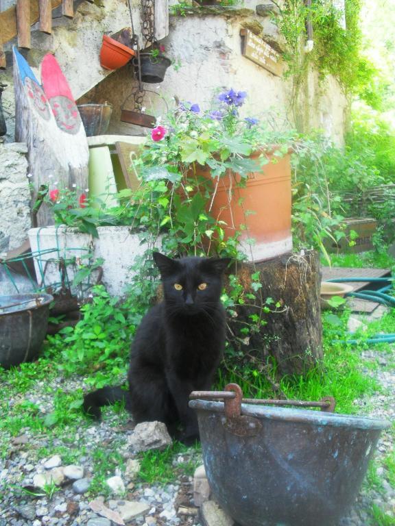 B&B Il Gatto Nero Castelveccana Extérieur photo