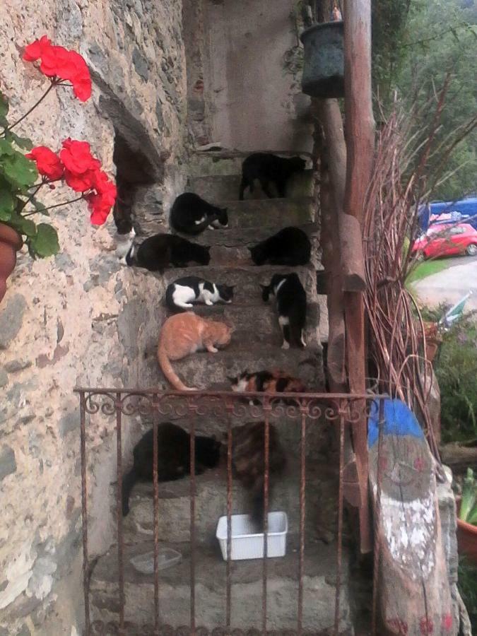 B&B Il Gatto Nero Castelveccana Extérieur photo
